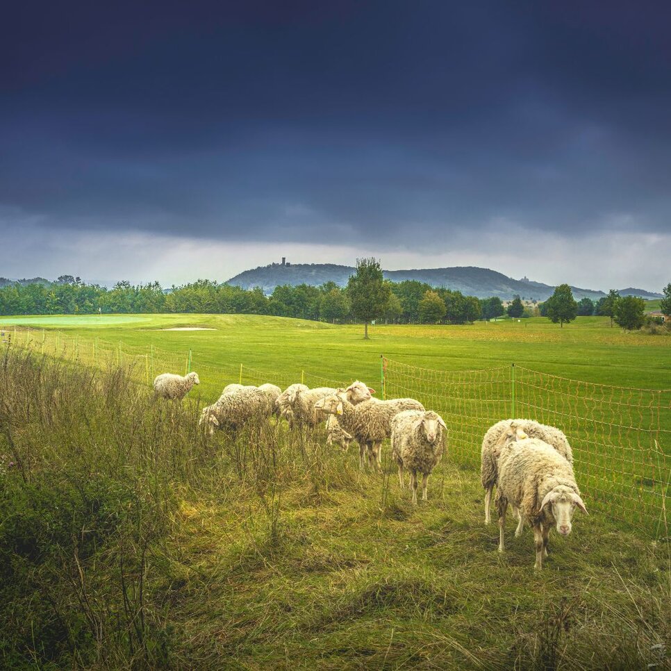 Besuch an Bahn 6 Besuch an Bahn 6